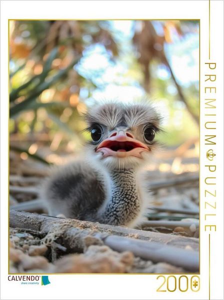 CALVENDO Puzzle Der erschrockene Strauss | 2000 Teile Lege-Größe 90x67cm Foto-Puzzle für glückliche Stunden