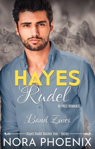 Hayes Rudel Band Zwei: Hayes Rudel Bücher Vier - Sechs
