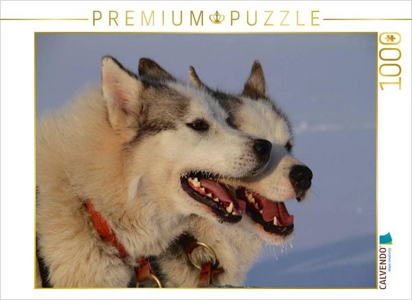 CALVENDO Puzzle Brüder | 1000 Teile Lege-Größe 64x48cm Foto-Puzzle für glückliche Stunden