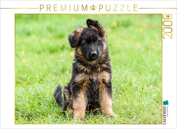 CALVENDO Puzzle Schäferhund - Welpe Hündin | 2000 Teile Lege-Größe 90x67cm Foto-Puzzle für glückliche Stunden
