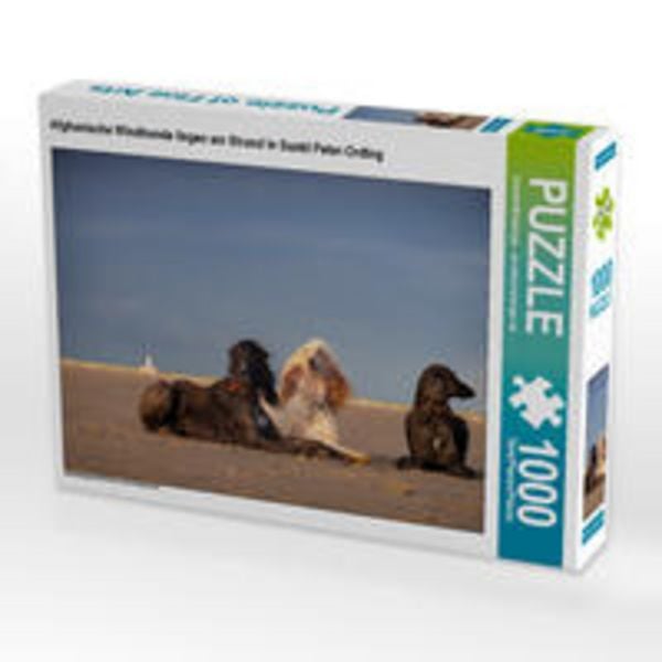 CALVENDO Puzzle Afghanische Windhunde liegen am Strand in Sankt Peter-Ording 1000 Teile Lege-Größe 64 x 48 cm Foto-Puzzle Bild von Annett Mirsberger annettmirsberger.de
