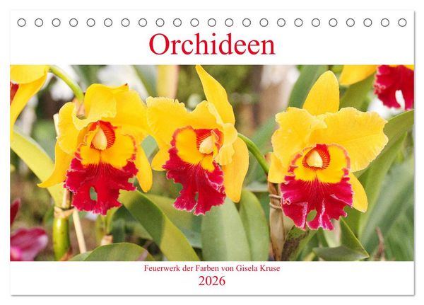 Orchideen Feuerwerk der Farben (Tischkalender 2026 DIN A5 quer), CALVENDO Monatskalender