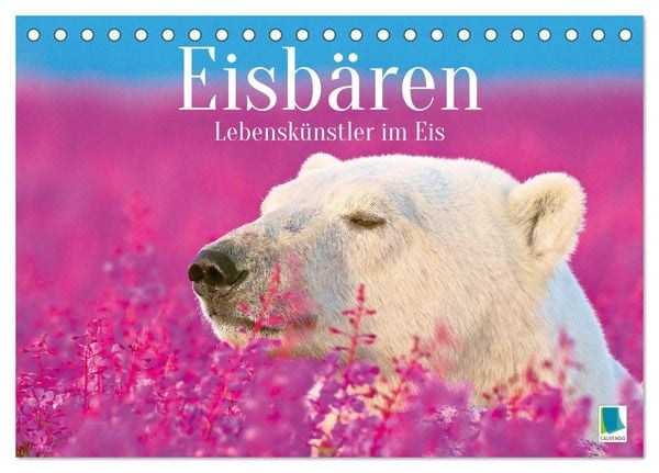 Eisbären: Lebenskünstler im Eis (Tischkalender 2026 DIN A5 quer), CALVENDO Monatskalender