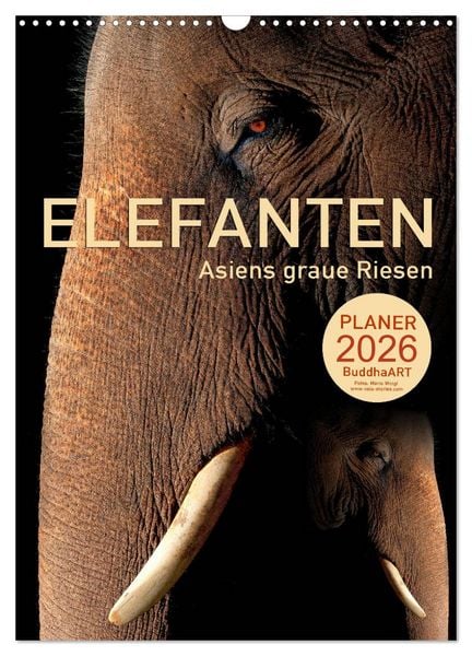 ELEFANTEN - Asiens graue Riesen (Wandkalender 2026 DIN A3 hoch), CALVENDO Monatskalender