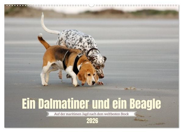 Ein Dalmatiner und ein Beagle - Auf der maritimen Jagd nach dem weltbesten Stock (Wandkalender 2026 DIN A2 quer), CALVENDO Monatskalender