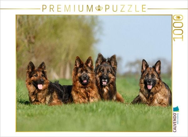 CALVENDO Puzzle Freunde für´s Leben | 1000 Teile Lege-Größe 64x48cm Foto-Puzzle für glückliche Stunden