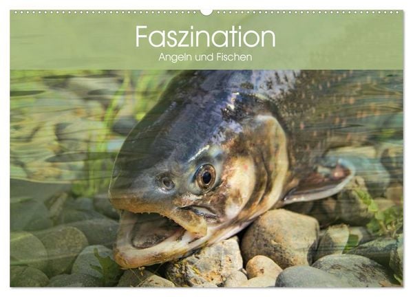 Faszination Angeln und Fischen (Wandkalender 2026 DIN A2 quer), CALVENDO Monatskalender