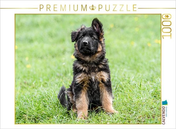 CALVENDO Puzzle Schäferhund - Welpe Hündin | 1000 Teile Lege-Größe 64x48cm Foto-Puzzle für glückliche Stunden