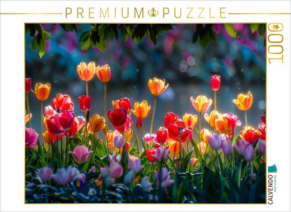 CALVENDO Puzzle Farben über Farben | 1000 Teile Lege-Größe 64x48cm Foto-Puzzle für glückliche Stunden