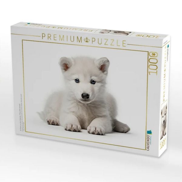 'CALVENDO Puzzle Ein Motiv aus dem Kalender ''Only white animals'' | 1000 Teile Lege-Größe 64x48cm Foto-Puzzle für glückliche Stunden'