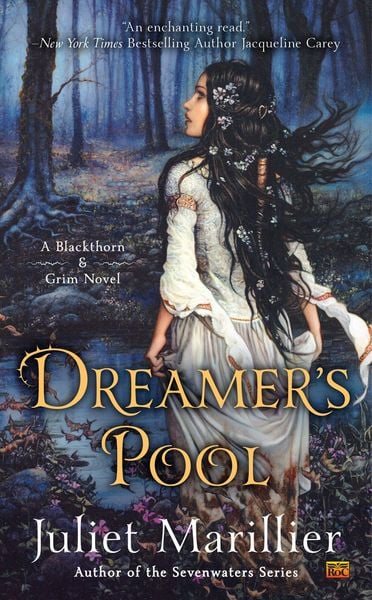 Dreamer's Pool / Blackthorn & Grim Bd. 1