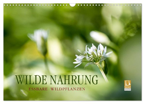 WILDE NAHRUNG (Wandkalender 2026 DIN A3 quer), CALVENDO Monatskalender