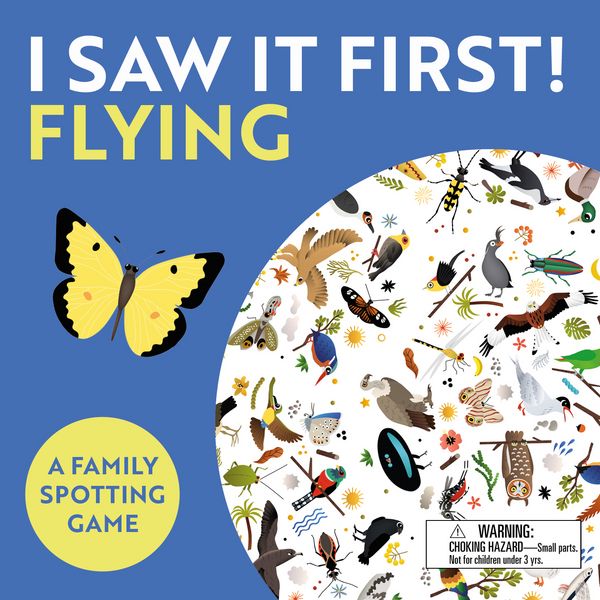 I Saw It First! Flying