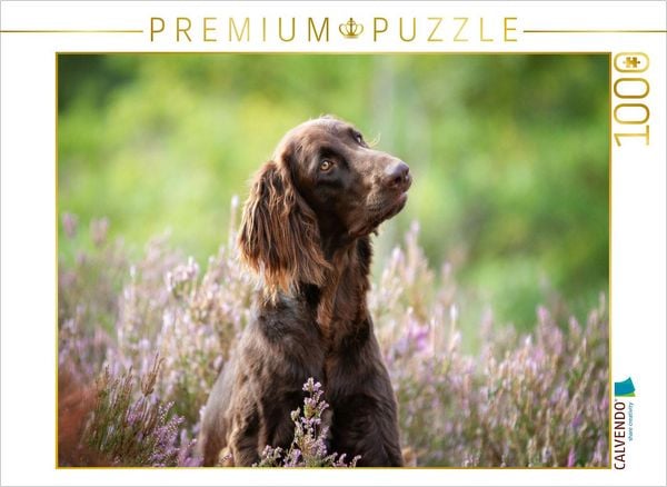CALVENDO Puzzle Zeit mit dem Hund ist nie verlorene Zeit! | 1000 Teile Lege-Größe 64x48cm Foto-Puzzle für glückliche Stunden