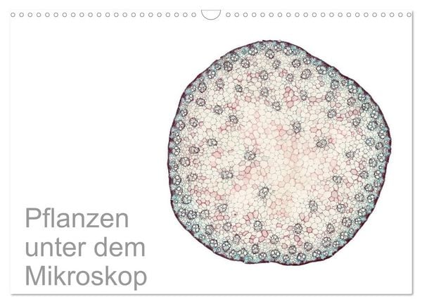 Pflanzen unter dem Mikroskop (Wandkalender 2026 DIN A3 quer), CALVENDO Monatskalender