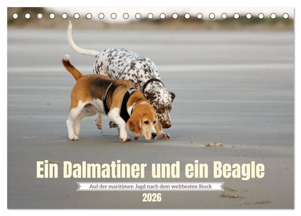 Ein Dalmatiner und ein Beagle - Auf der maritimen Jagd nach dem weltbesten Stock (Tischkalender 2026 DIN A5 quer), CALVENDO Monatskalender