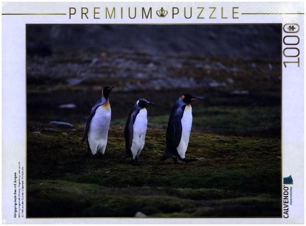 CALVENDO Puzzle Königspinguinpärchen mit Jungem | 1000 Teile Lege-Größe 64x48cm Foto-Puzzle für glückliche Stunden