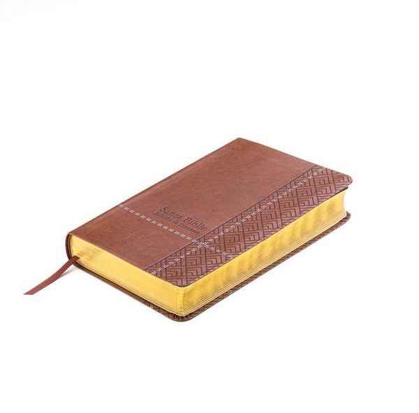 Santa Biblia de Promesas Reina-Valera 1960 / Tamaño Manual / Letra Grande / Piel Especial / Café // Spanish Promise Bible Rvr60 / Handy Size / Large P