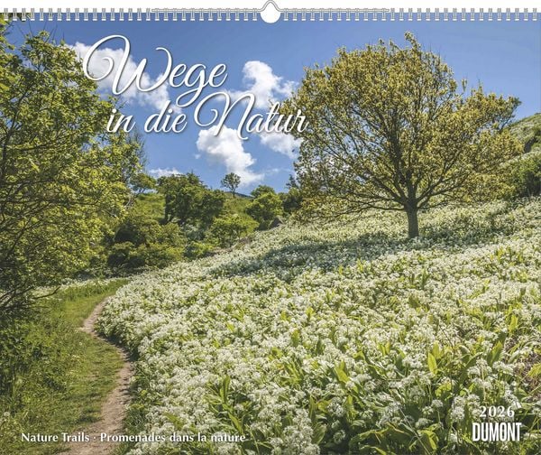 DUMONT - Wege in die Natur 2026 – Wandkalender 52 x 43 cm Querformat, Naturfotografie mit Feiertagen D/A/CH, Geschenk für Naturliebhaber