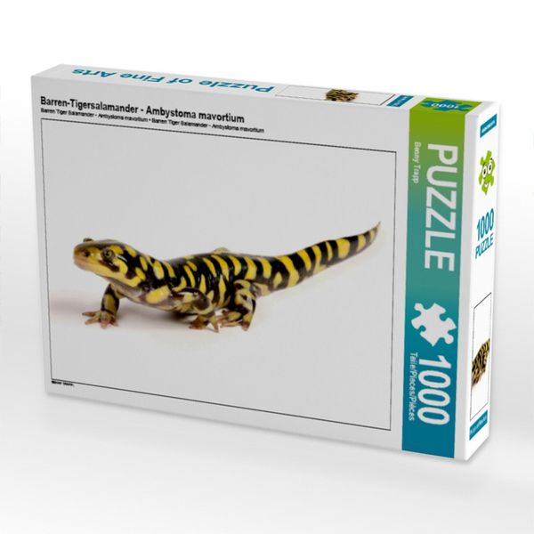 Barren-Tigersalamander - Ambystoma mavortium (Puzzle)