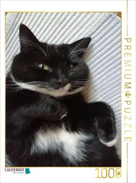 CALVENDO Puzzle Kater, dick und zufrieden | 1000 Teile Lege-Größe 64x48cm Foto-Puzzle für glückliche Stunden