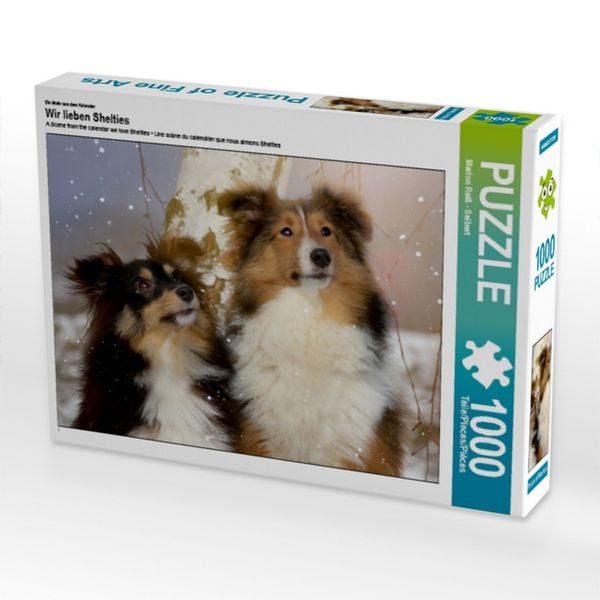 Ein Motiv aus dem Kalender Wir lieben Shelties (Puzzle)