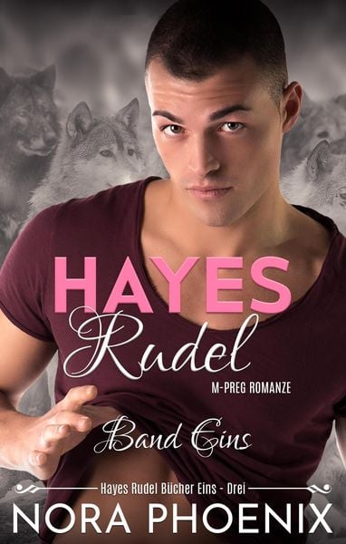 Hayes Rudel Band Eins: Hayes Rudel Bücher Eins - Drei
