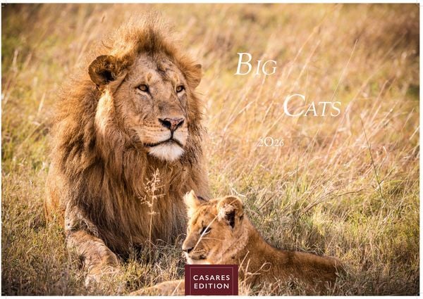 Big Cats Kalender 2026 – Wandkalender | Fotokalender Tierkalender 24x35cm – Wunderschöner Großkatzen-. mit beeindruckenden Fotos von Tiger| Löwen | Ja