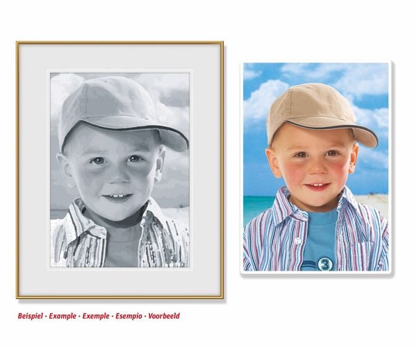 Schipper Malen nach Zahlen: Male deinen Liebling