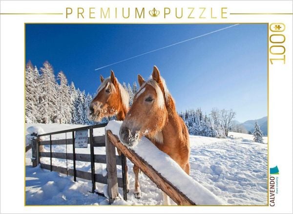 CALVENDO Puzzle Neugierige Pferde in Flachau | 1000 Teile Lege-Größe 64x48cm Foto-Puzzle für glückliche Stunden