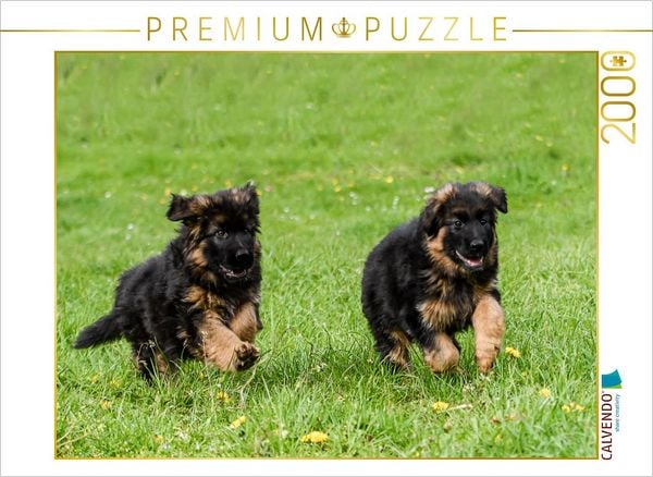 CALVENDO Puzzle Lauf um die Wette | 2000 Teile Lege-Größe 90x67cm Foto-Puzzle für glückliche Stunden