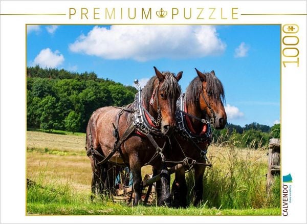 CALVENDO Puzzle Pferde Gespann belgisches Kaltblut | 1000 Teile Lege-Größe 64x48cm Foto-Puzzle für glückliche Stunden