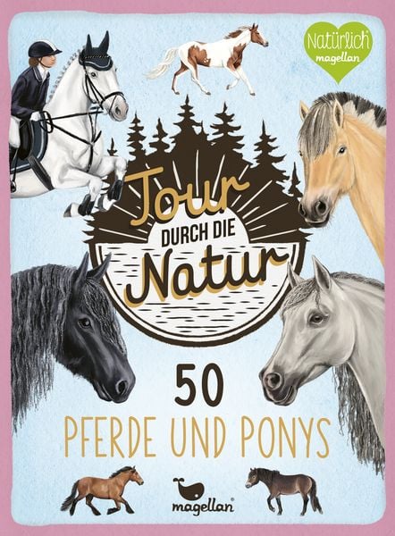 Tour durch die Natur - 50 Pferde und Ponys