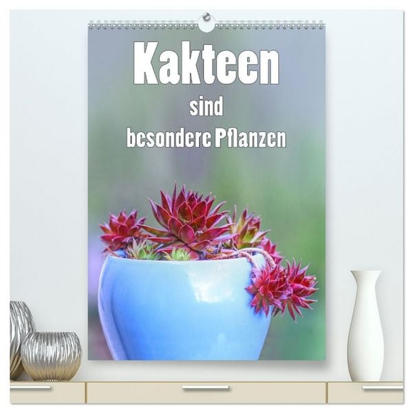Kakteen sind besondere Pflanzen (hochwertiger Premium Wandkalender 2026 DIN A2 hoch), Kunstdruck in Hochglanz