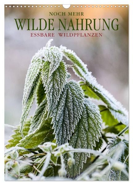 NOCH MEHR WILDE NAHRUNG (Wandkalender 2026 DIN A3 hoch), CALVENDO Monatskalender