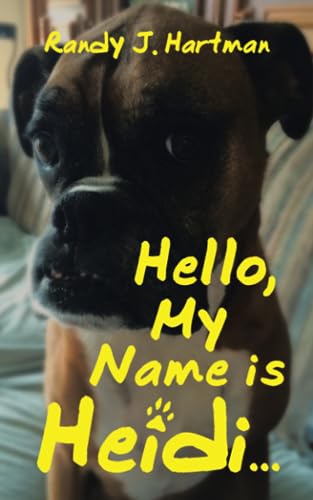 Hello, My Name is Heidi…