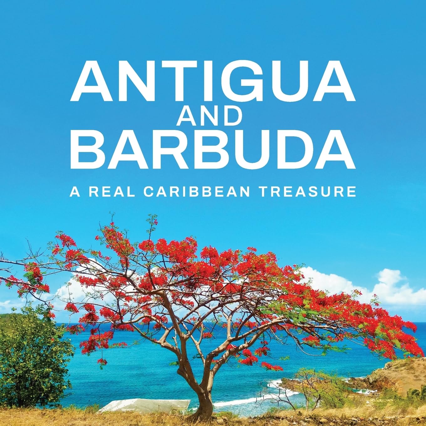 Antigua and Barbuda: A Real Caribbean Treasure: A Real Caribbean Treasure: A Real Cari