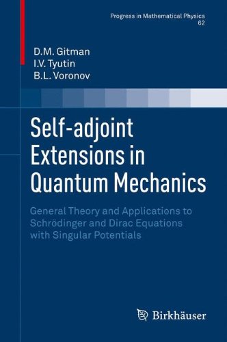 Self-adjoint Extensions in Quantum Mechanics: General Theory and Applications to Schrödinger and Dirac Equations with Singular Potentials (Progress in Mathematical Physics)