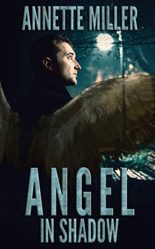 Angel in Shadow (Angel Haven, Band 4)