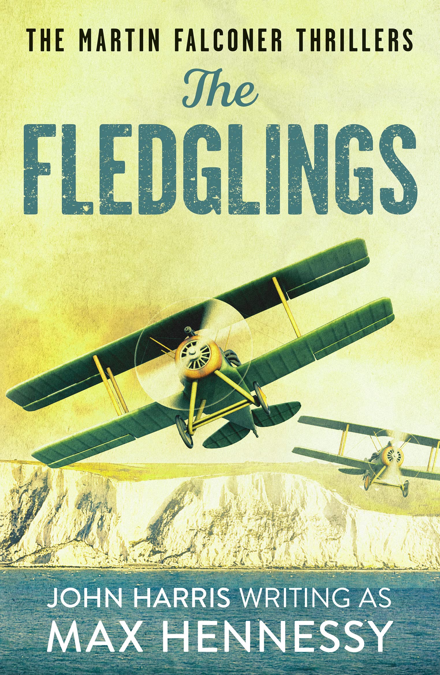 The Fledglings (Martin Falconer Thrillers, Band 1)