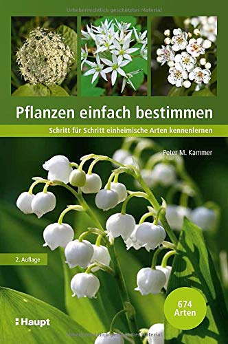 Pflanzen einfach bestimmen: Schritt für Schritt einheimische Arten kennenlernen
