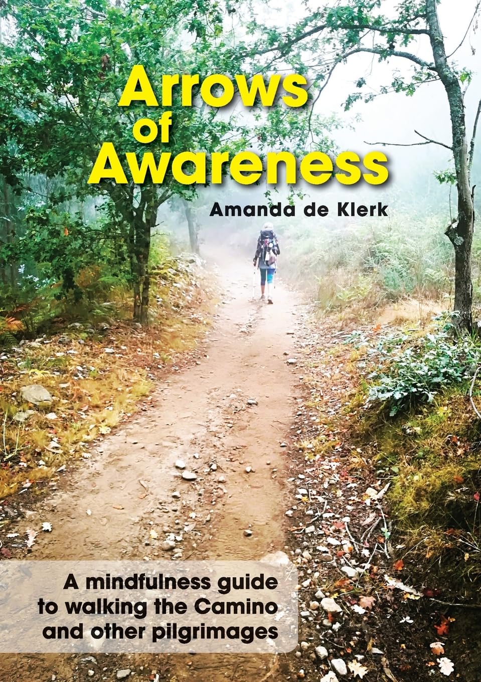 Arrows of Awareness: A mindfulness guide for walking the Camino and other pilgrimages: A mindfulness guide to walking the Camino and other pilgrimages
