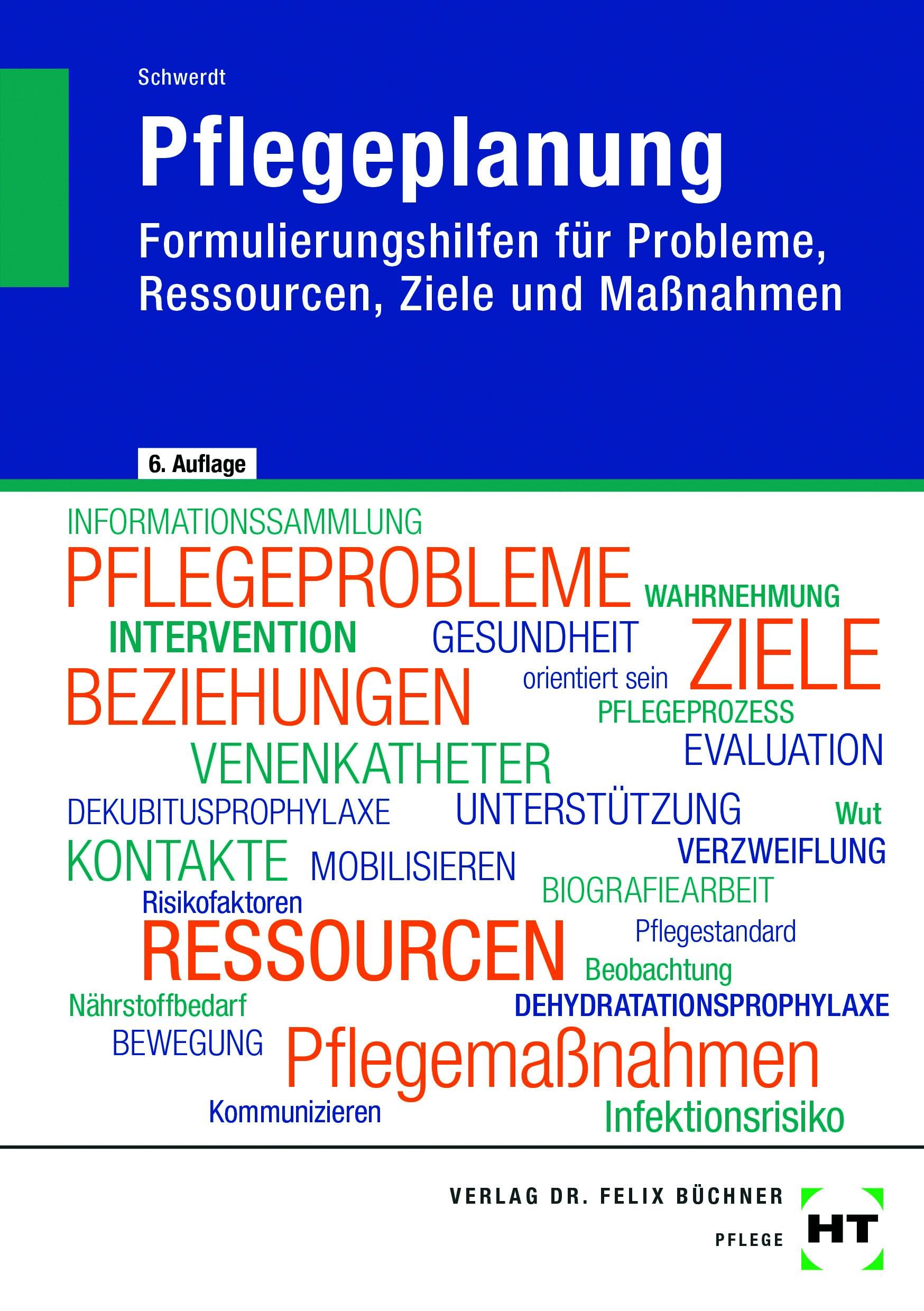 eBook inside: Buch und eBook Pflegeplanung: Formulierungshilfen für Probleme, Ressourcen, Ziele und Maßnahmen