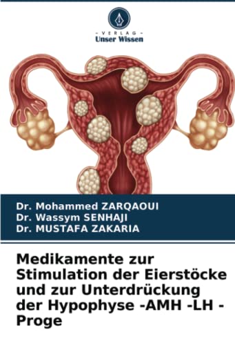 Medikamente zur Stimulation der Eierstöcke und zur Unterdrückung der Hypophyse -AMH -LH - Proge