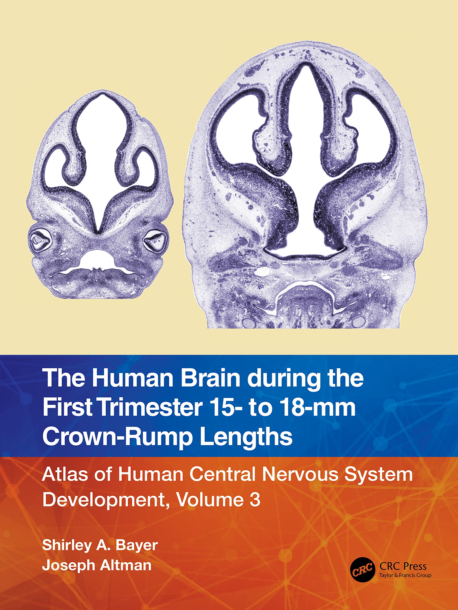 The Human Brain during the First Trimester 15- to 18-mm Crown-Rump Lengths: Atlas of Human Central Nervous System Development, Volume 3 (Atlas of Human Central Nervous System Development, 3)