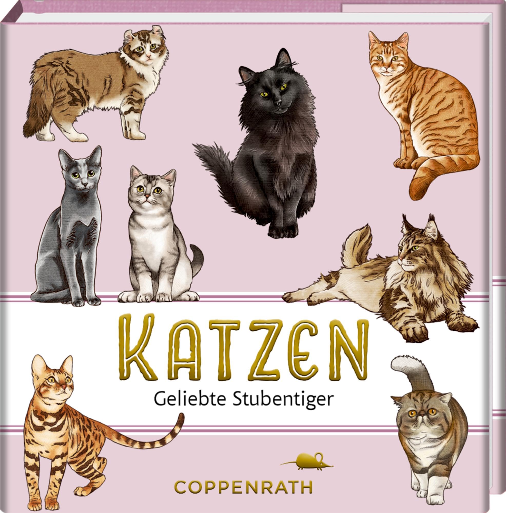 Katzen: Geliebte Stubentiger: Für Katzen-Fans ein liebevolles Mitbringsel (BiblioPhilia)