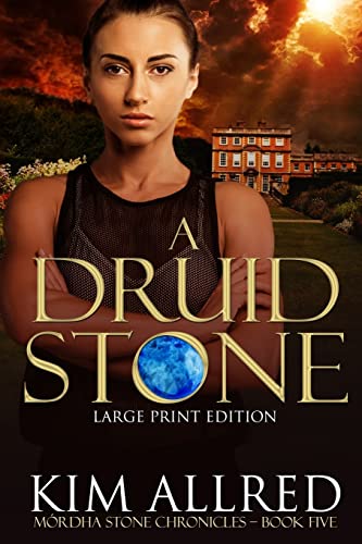 A Druid Stone: A Time Travel Romantic Adventure, Book 5 (Mórdha Stone Chronicles, Band 5)