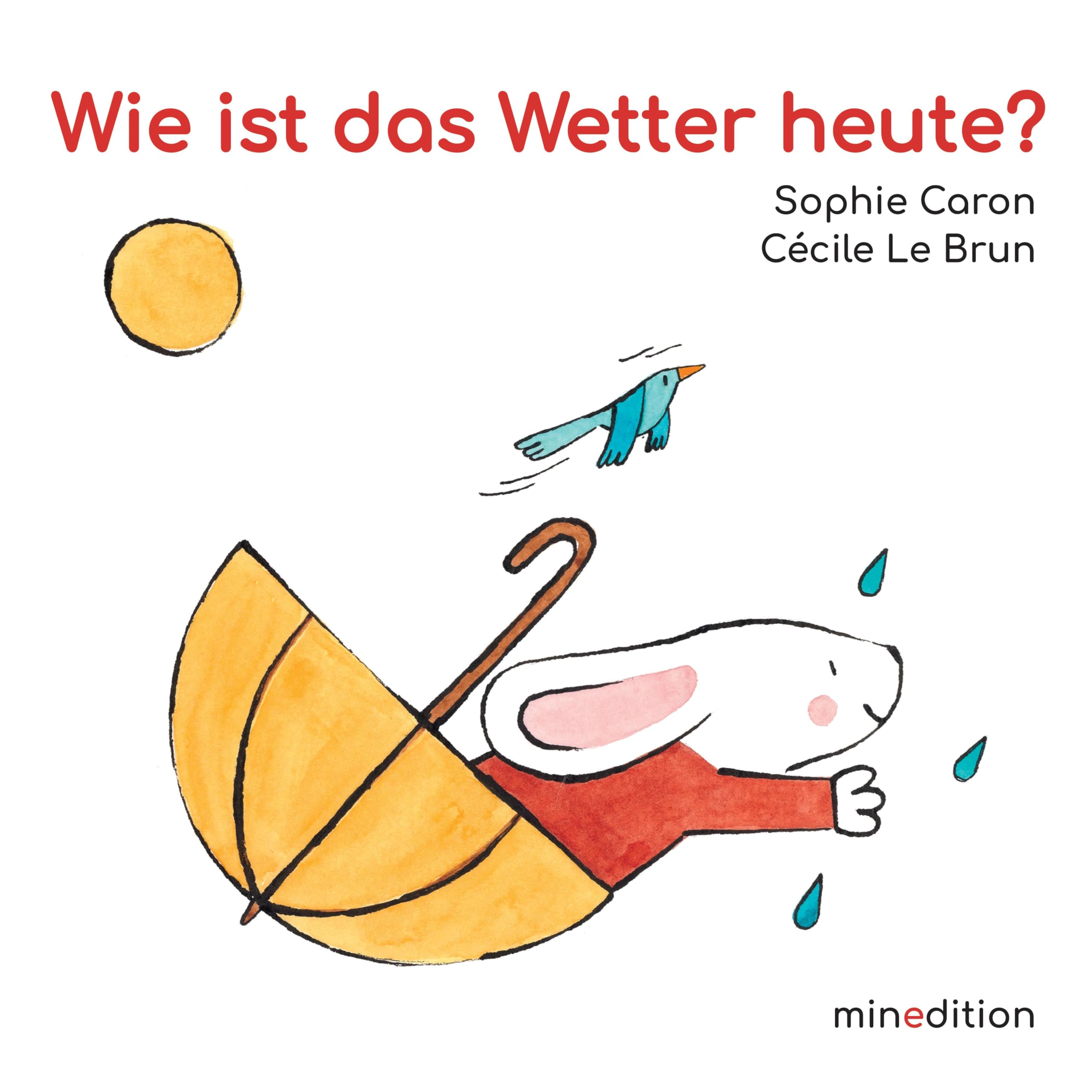Wie ist das Wetter heute?: oder: Was ziehe ich heute an? Ein wunderbares erstes Bilderbuch über das Wetter und die Wahl der passenden Kleidung.
