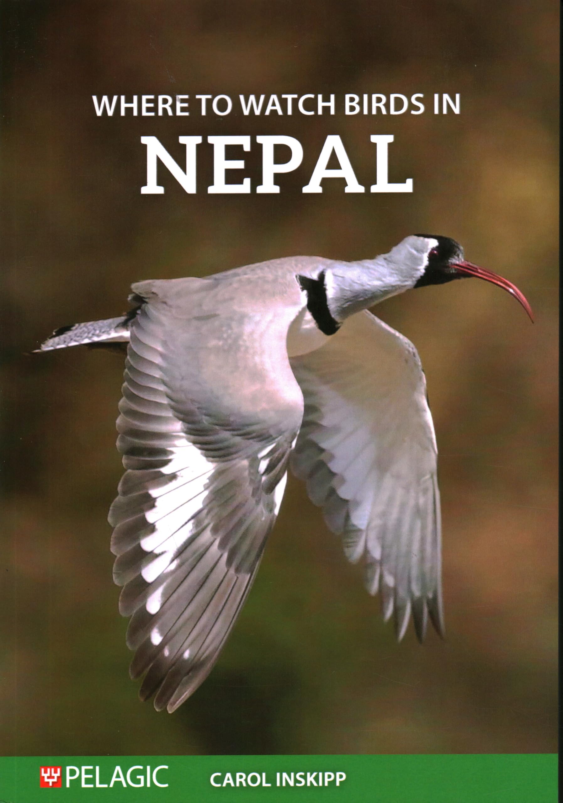Where to Watch Birds in Nepal (Where to Watch Guides)