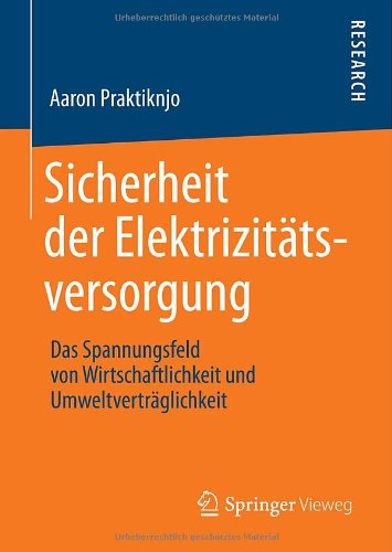 Sicherheit der Elektrizitätsversorgung: Das Spannungsfeld von Wirtschaftlichkeit und Umweltverträglichkeit